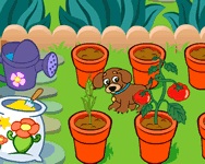 Dora's magical garden kiszolgls HTML5 jtk